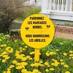 Chez Vincent, Double, Environ 10m2, Avec Accès Privé, Salle De Bain équipée, Très Bon Emplacement Dans Dieppe, Au Calme, Avec Parking Gratuit Et Clôturé, Terrasse Et Grand Jardin, Animaux Admis, Attention Pas De Cuisine *
