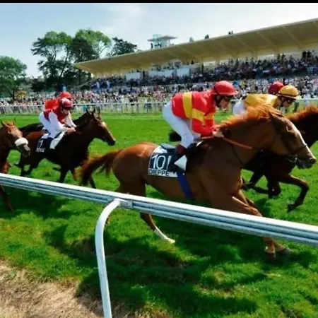 Chez Vincent, 2 Doubles, Avec 1 Salle De Bain Equipees, Avec Acces Prive, Tres Bon Emplacement Dans Dieppe, Au Calme, Avec Parking Gratuit Et Cloture, Terrasse Et Grand Jardin, Simple Et Convivial, Animaux Admis