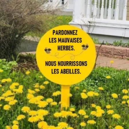 Vincent's Private Room: Charming Garden With Parking *