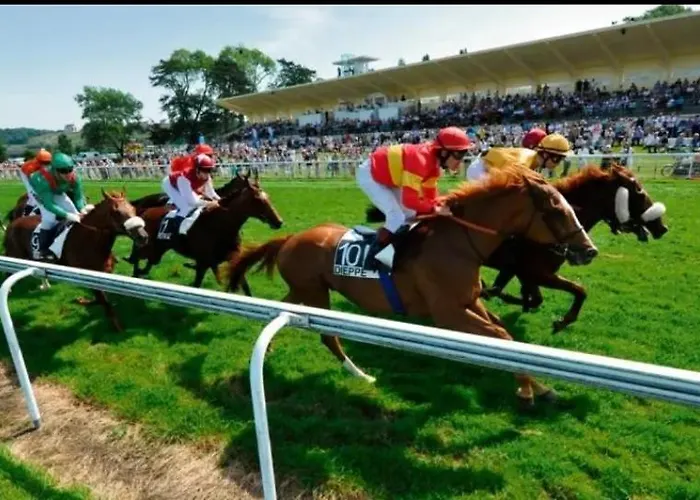 Chez Vincent, 2 Doubles, Avec 1 Salle De Bain Equipees, Avec Acces Prive, Tres Bon Emplacement Dans Dieppe, Au Calme, Avec Parking Gratuit Et Cloture, Terrasse Et Grand Jardin, Simple Et Convivial, Animaux Admis