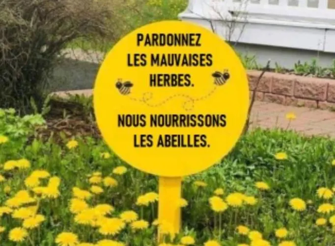 Chez Vincent, 2 Doubles, Avec 1 Salle De Bain Equipees, Avec Acces Prive, Tres Bon Emplacement Dans Dieppe, Au Calme, Avec Parking Gratuit Et Cloture, Terrasse Et Grand Jardin, Simple Et Convivial, Animaux Admis *