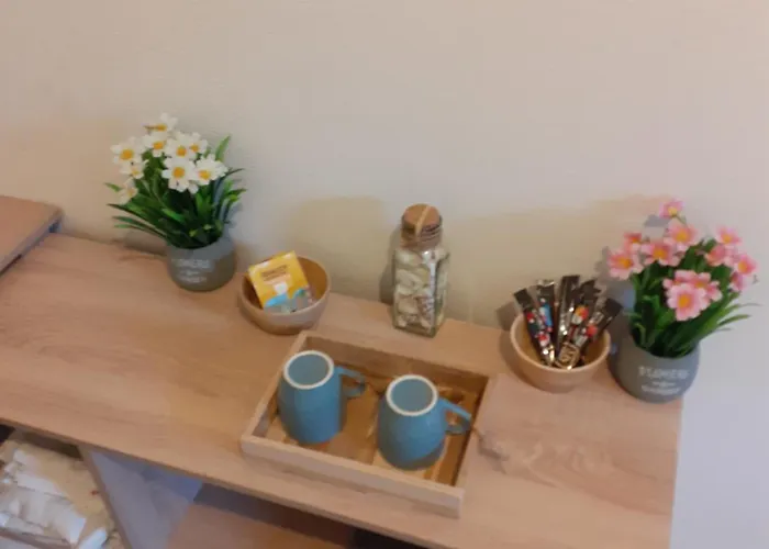 Chez Vincent, 2 Doubles, Avec 1 Salle De Bain Equipees, Avec Acces Prive, Tres Bon Emplacement Dans Dieppe, Au Calme, Avec Parking Gratuit Et Cloture, Terrasse Et Grand Jardin, Simple Et Convivial, Animaux Admis *